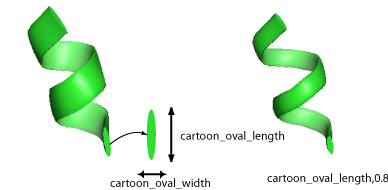 Cartoon oval length.png