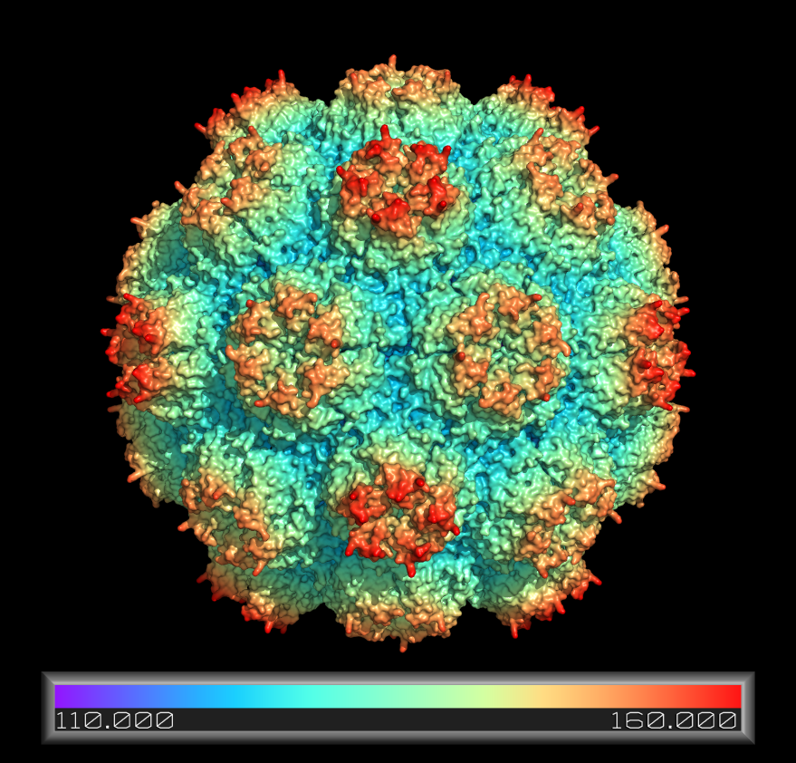 Capsid by dist.png