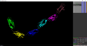 PDBe 3b43 domains 2.png