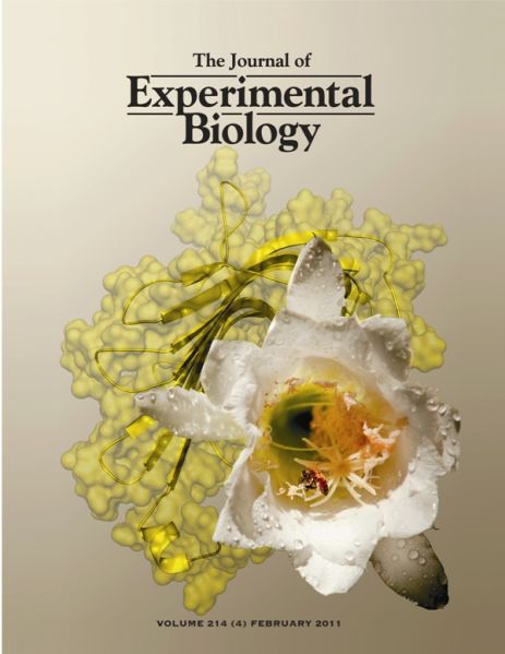 File:JExpBiol-214-4.jpg