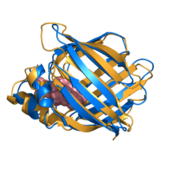 File:V7 1cbs 1hmt.png
