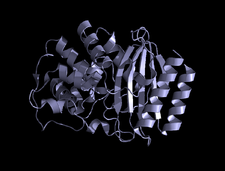 File:AmbientScale.gif
