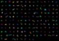Thumbnail for version as of 19:22, 28 March 2014