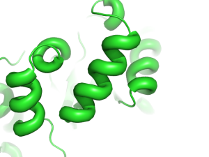 Cartoon oval width 1.png