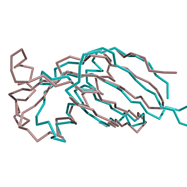 File:1CEW 1MOL.png