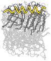 Thumbnail for version as of 13:47, 28 March 2014