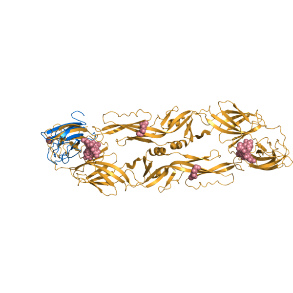 File:V7 1oan 1s6n.png