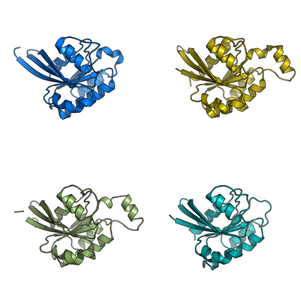 File:Gm1.png