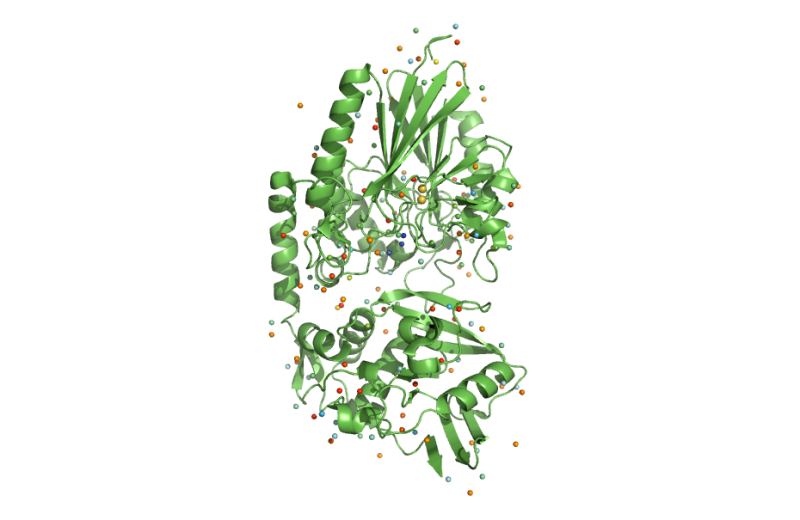 File:U913500~.PNG