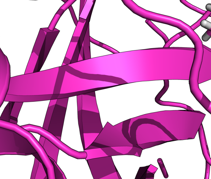 File:L1.png
