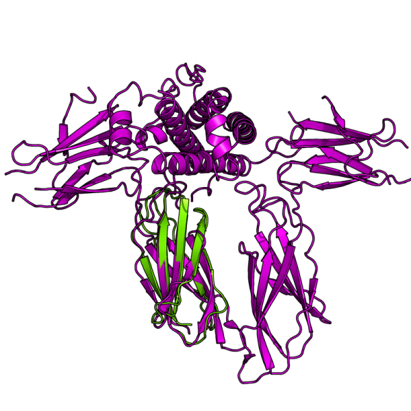 File:V6 1ten 3hhr.png