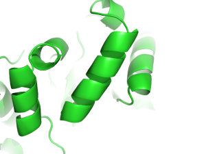 Cartoon oval length 2.png