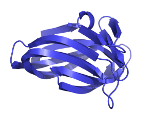 Cartoon rect width 1.0.png