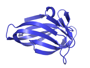 Cartoon rect width default.png