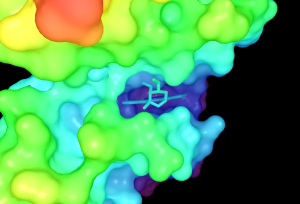 Chroma 3d.png