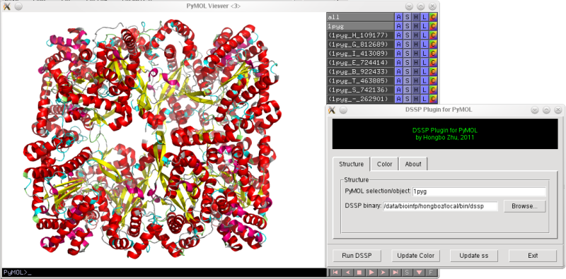File:Demo DSSP plugin 1pyg.png