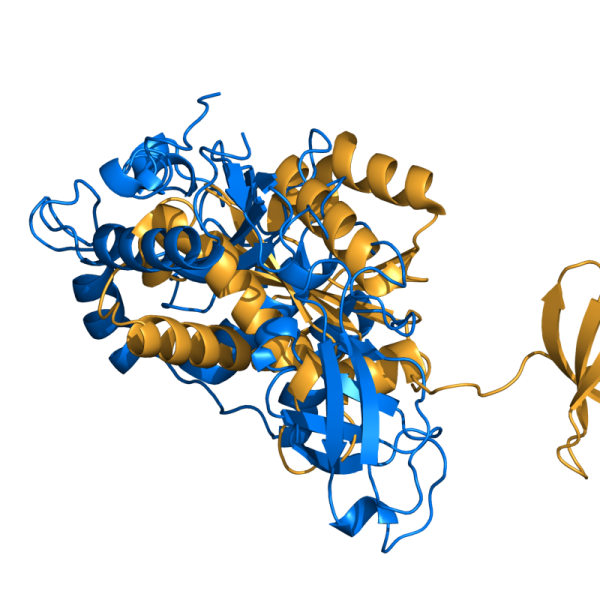 File:Pymol align.png