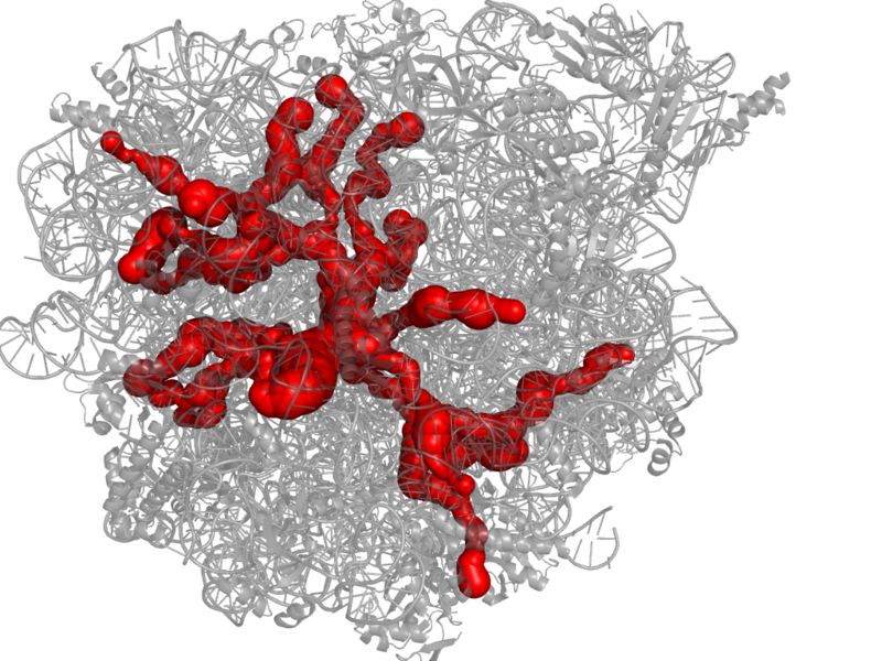 File:1jj2.png