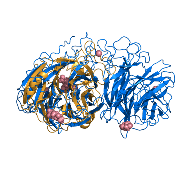 File:V7 2sim 1nsb.png