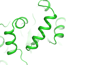 Cartoon oval length 0.6.png