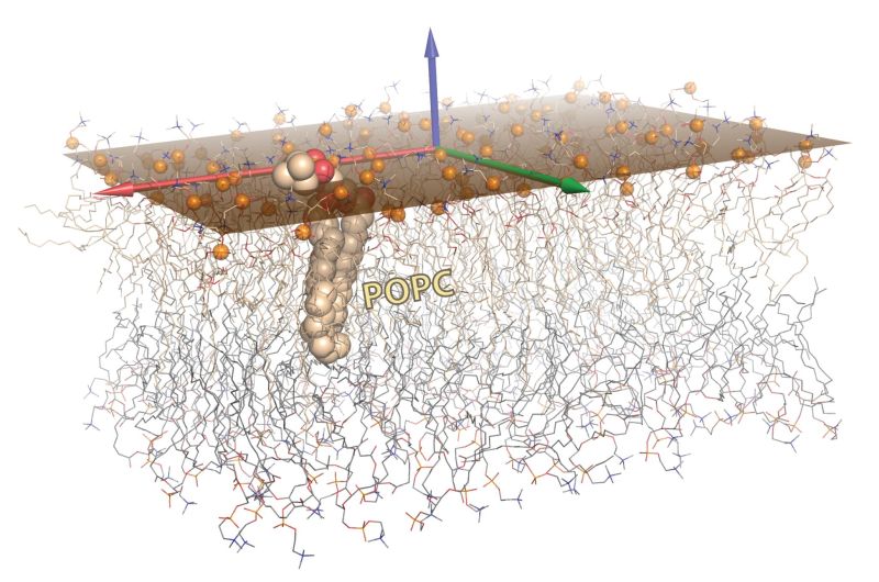 File:SvdEm.jpg