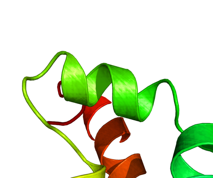 File:Ray texture 5.png
