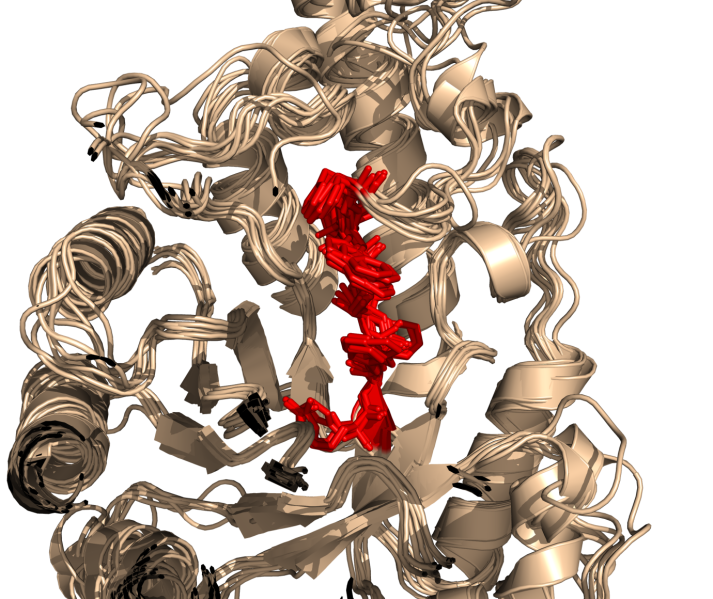 File:SeqFinder.png