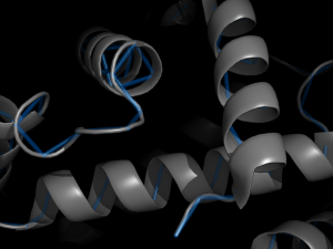 Tp ribbon.png