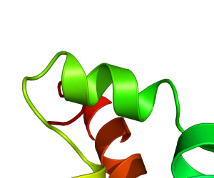 Ray texture 1.png