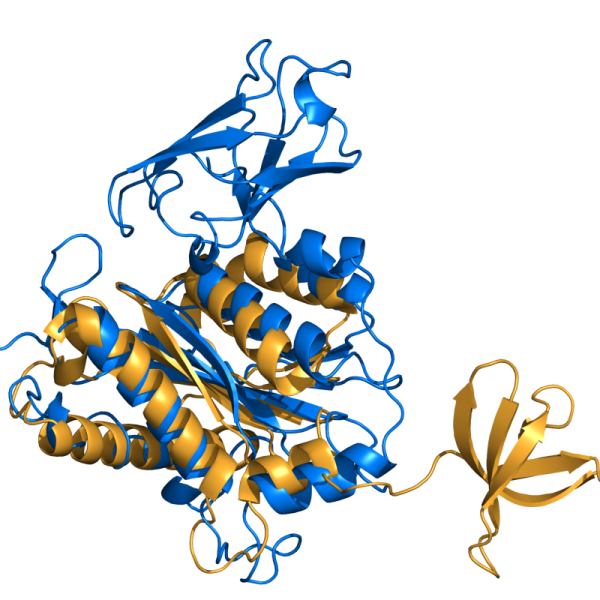 File:Cealign ex1.png