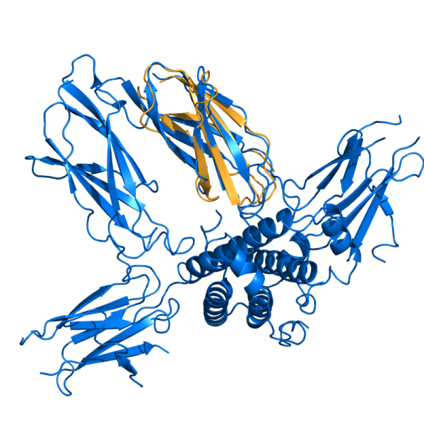 File:V7 1ten 3hhr.png