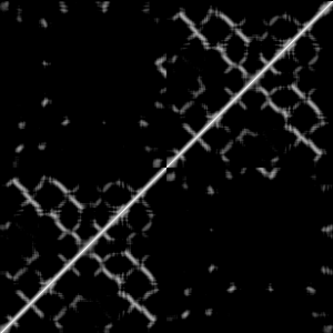 Contact-Map-of-a-Trajectory.png