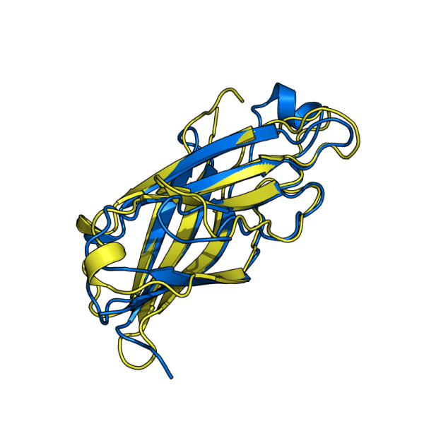 File:V6 1rlw 1mol.png