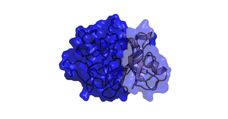 File:Diffy transp2.png