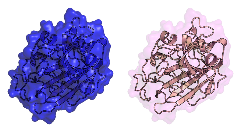 File:Diffy transp.png